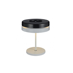 Toric Table Light 五金简约台灯 CGT79064