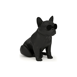 AeroBull XS1音箱 让·米歇尔·雅尔  饰品